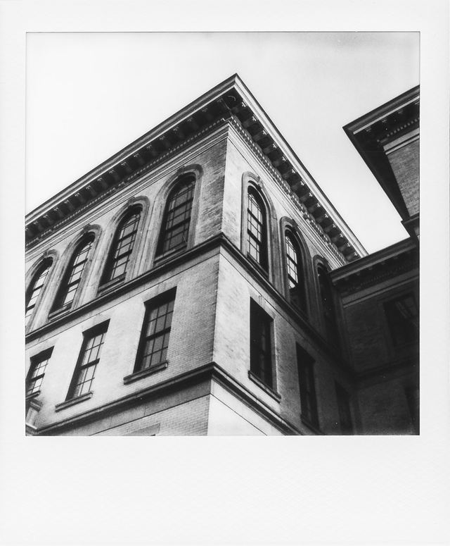 Polaroid photograph, April 20, 2024