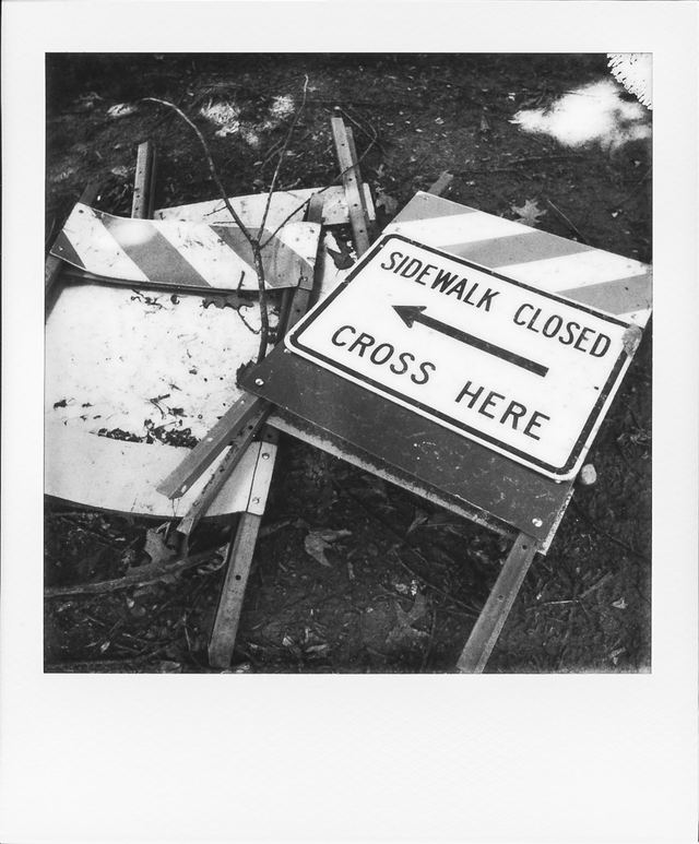 Polaroid photograph, April 23, 2024