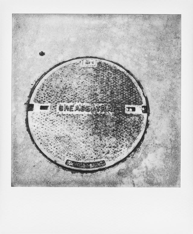 Polaroid photograph, April 24, 2024