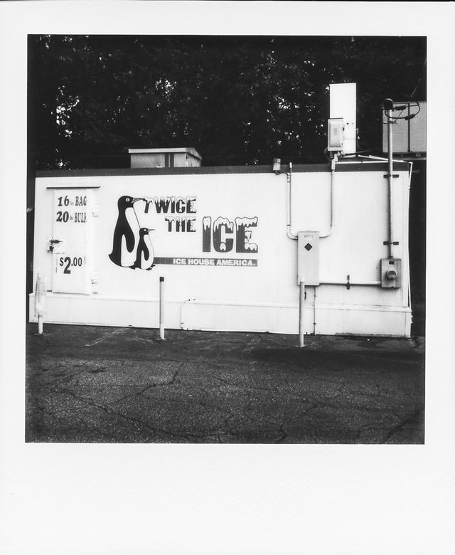 Polaroid photograph, April 26, 2024
