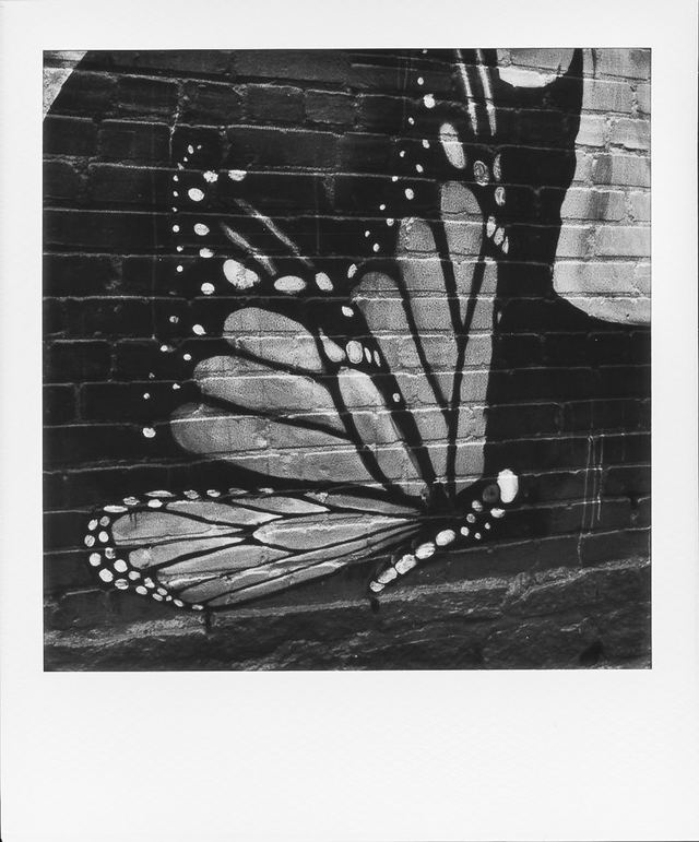 Polaroid photograph, April 27, 2024