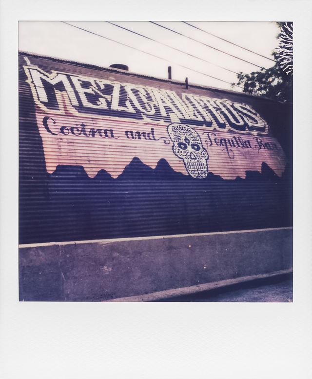 Polaroid photograph, April 28, 2024