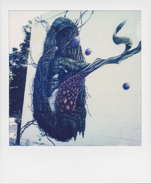 Polaroid photograph, April 29, 2024