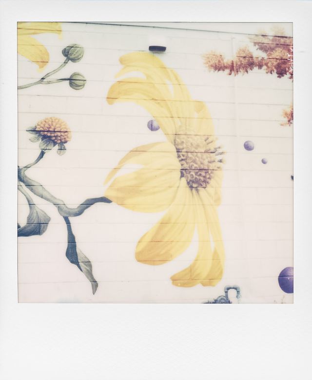 Polaroid photograph, April 30, 2024