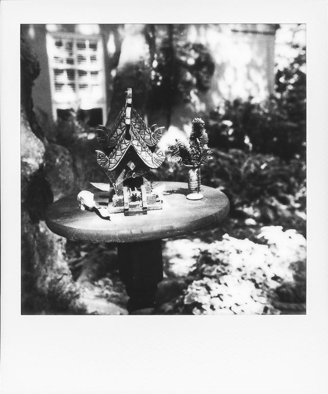 Polaroid photograph, May 2, 2024