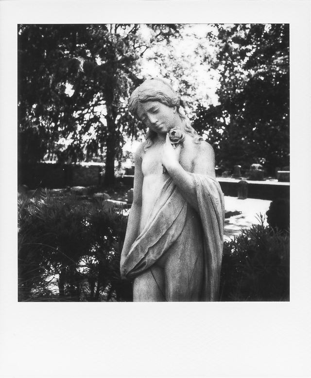 Polaroid photograph, May 4, 2024