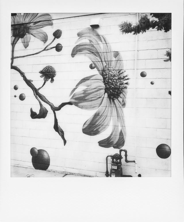Polaroid photograph, May 9, 2024