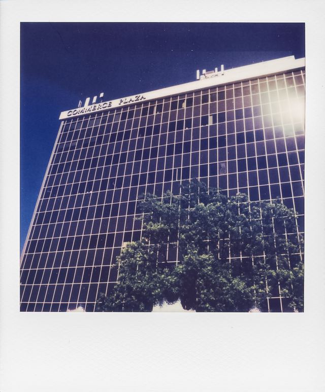 Polaroid photograph, May 11, 2024
