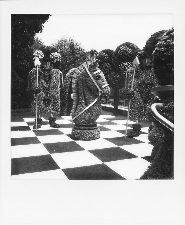 Polaroid photograph, May 14, 2024