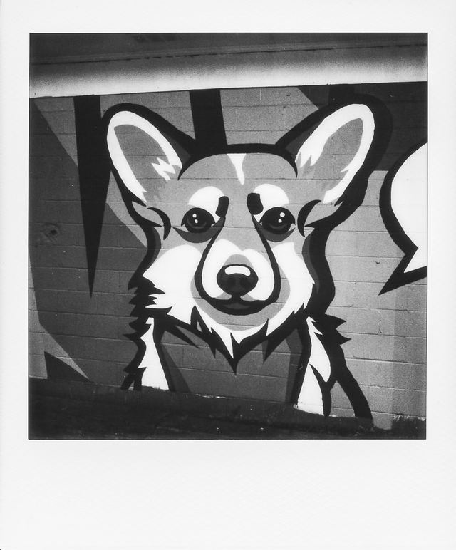 Polaroid photograph, May 18, 2024