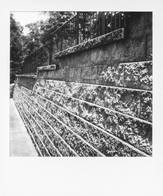 Polaroid photograph, May 19, 2024
