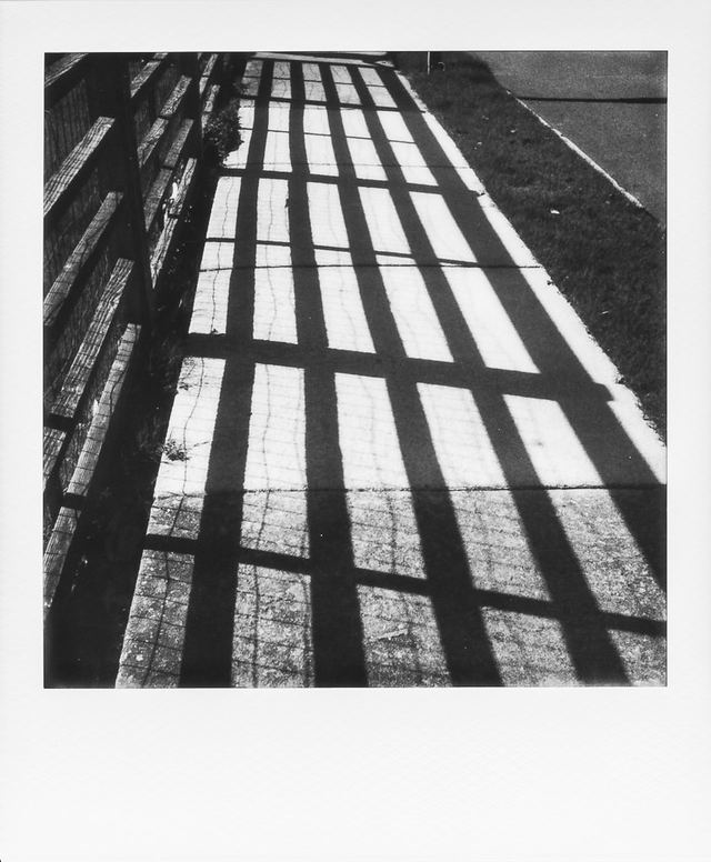 Polaroid photograph, May 21, 2024