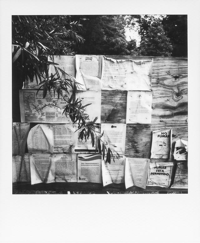 Polaroid photograph, May 22, 2024