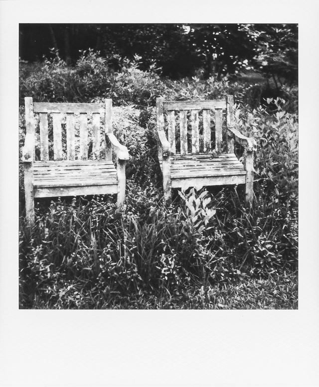 Polaroid photograph, May 24, 2024