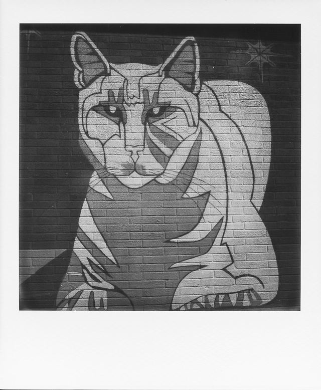Polaroid photograph, May 26, 2024