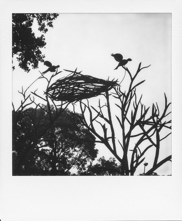 Polaroid photograph, May 29, 2024
