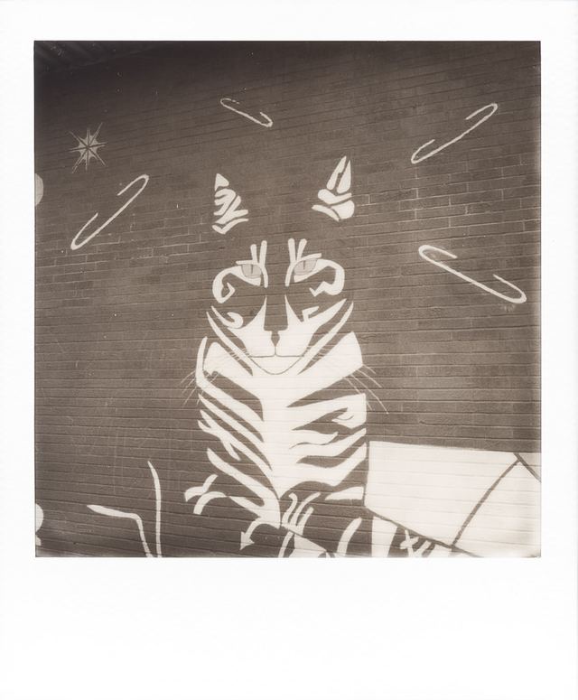 Polaroid photograph, May 31, 2024