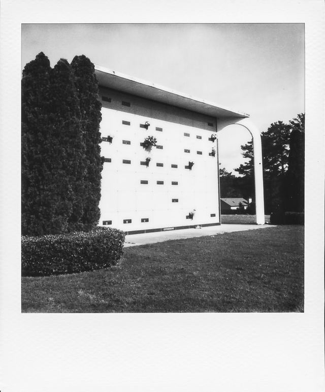 Polaroid photograph, June 4, 2024