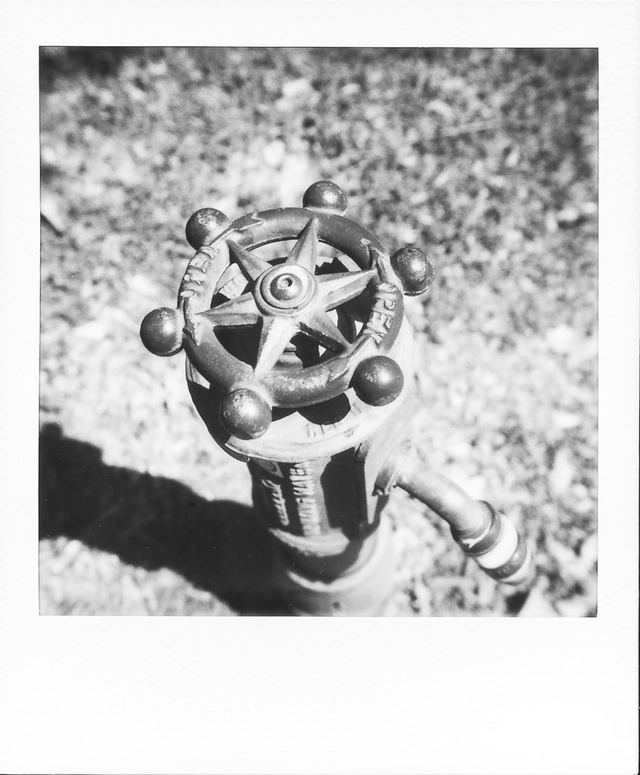 Polaroid photograph, June 5, 2024