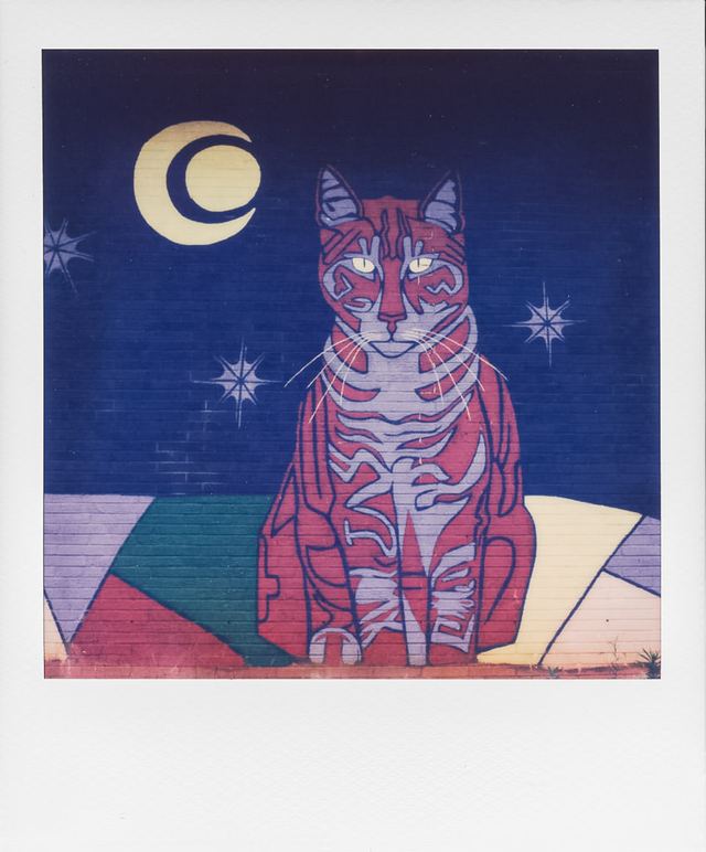 Polaroid photograph, June 6, 2024