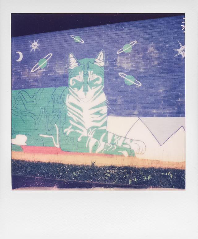 Polaroid photograph, June 7, 2024
