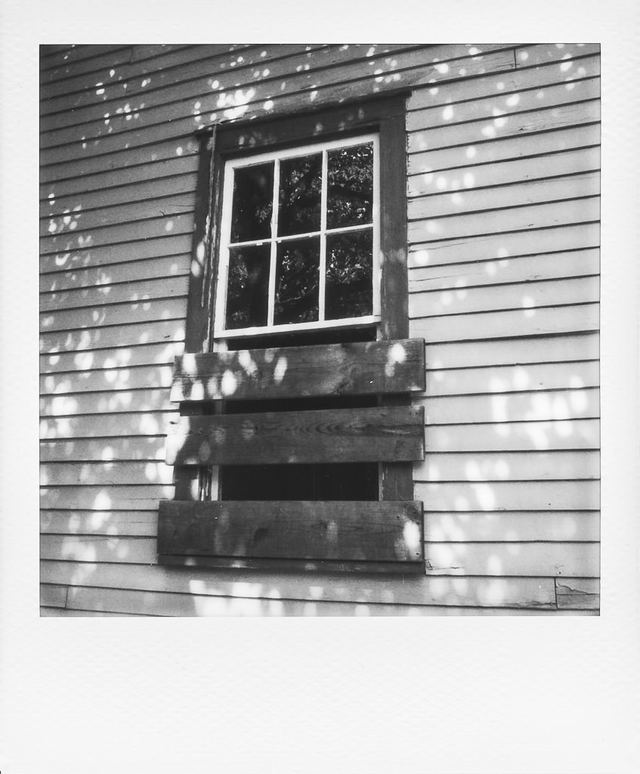 Polaroid photograph, June 8, 2024
