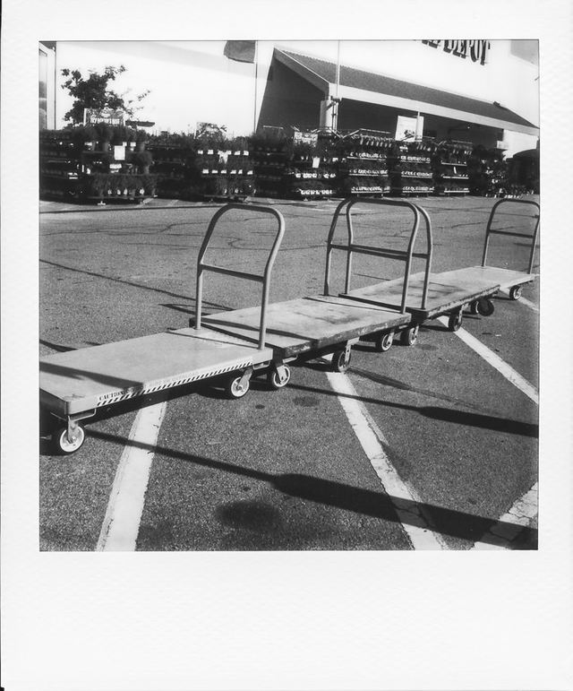 Polaroid photograph, June 10, 2024