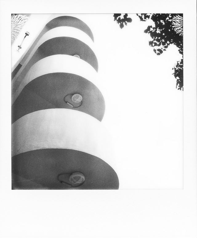Polaroid photograph, June 13, 2024