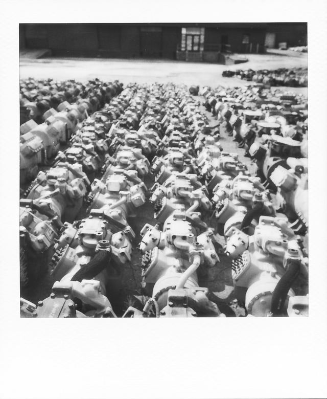 Polaroid photograph, June 15, 2024