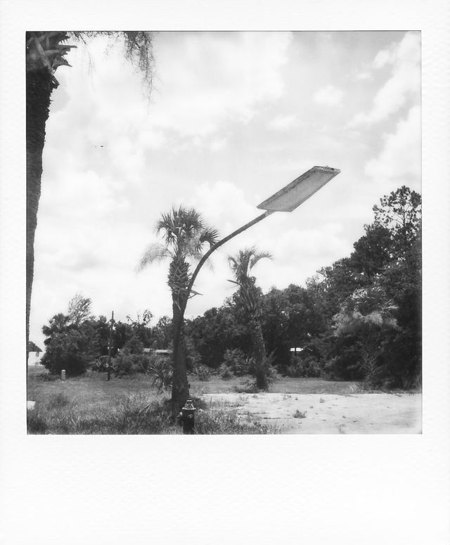 Polaroid photograph, June 16, 2024