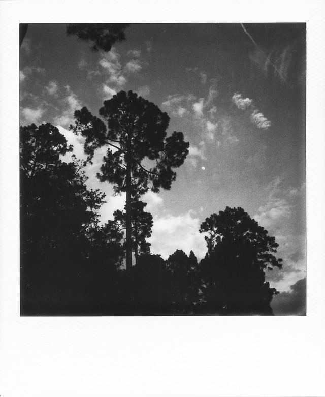 Polaroid photograph, June 17, 2024
