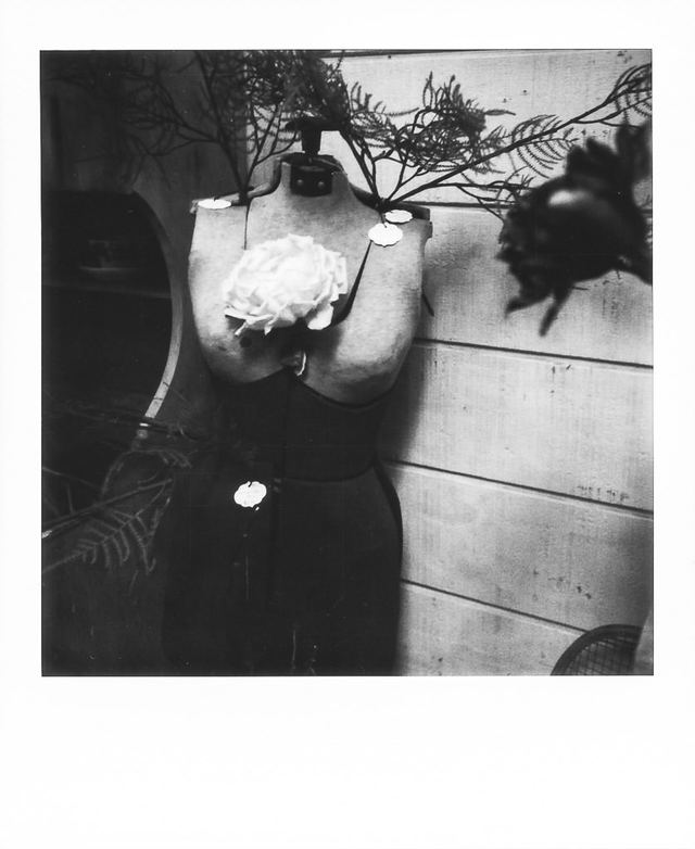 Polaroid photograph, June 18, 2024