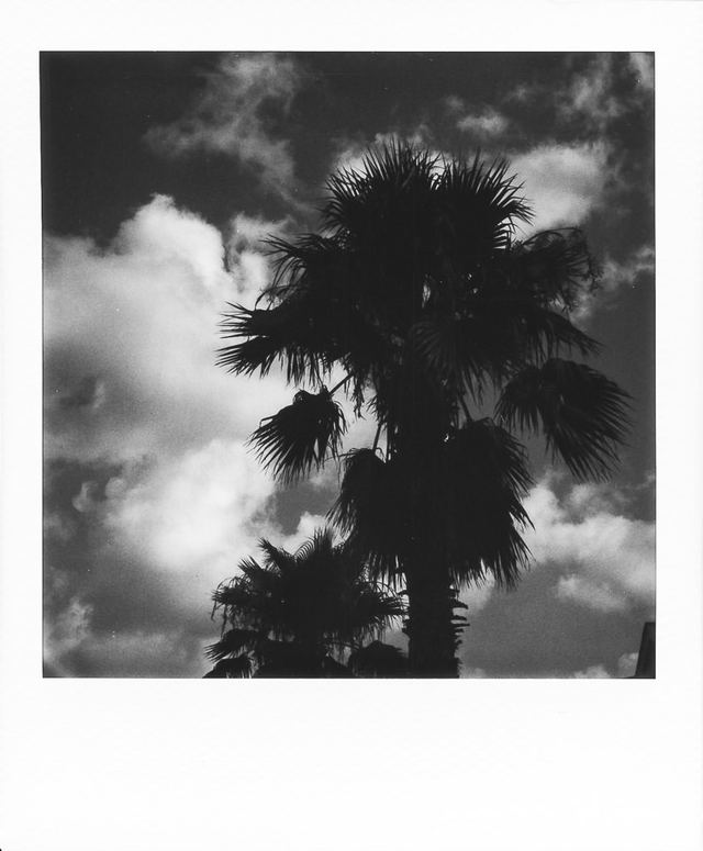 Polaroid photograph, June 19, 2024