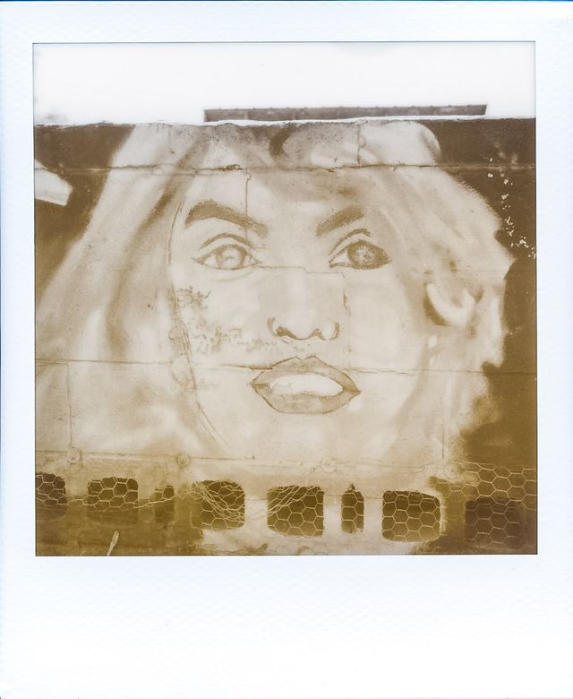 Polaroid photograph, June 26, 2024