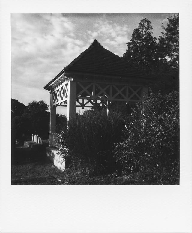 Polaroid photograph, June 27, 2024