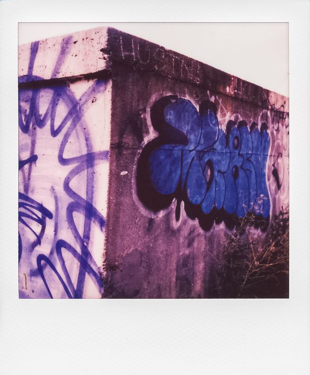 Polaroid photograph, July 1, 2024