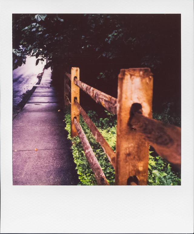 Polaroid photograph, July 5, 2024