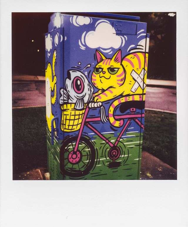 Polaroid photograph, July 9, 2024