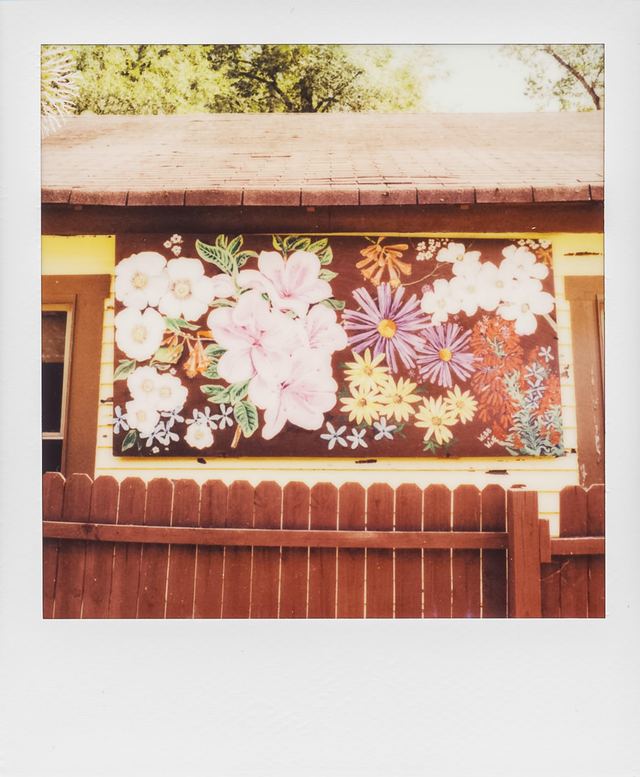Polaroid photograph, July 13, 2024