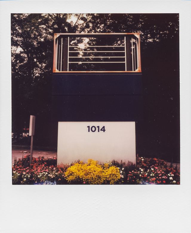 Polaroid photograph, July 19, 2024