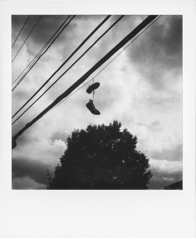 Polaroid photograph, July 26, 2024