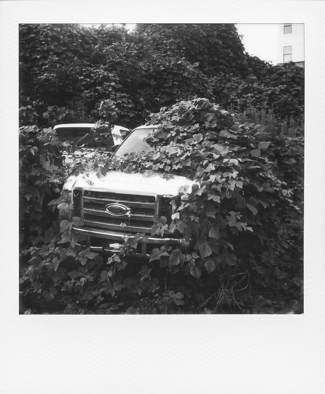 Polaroid photograph, July 29, 2024