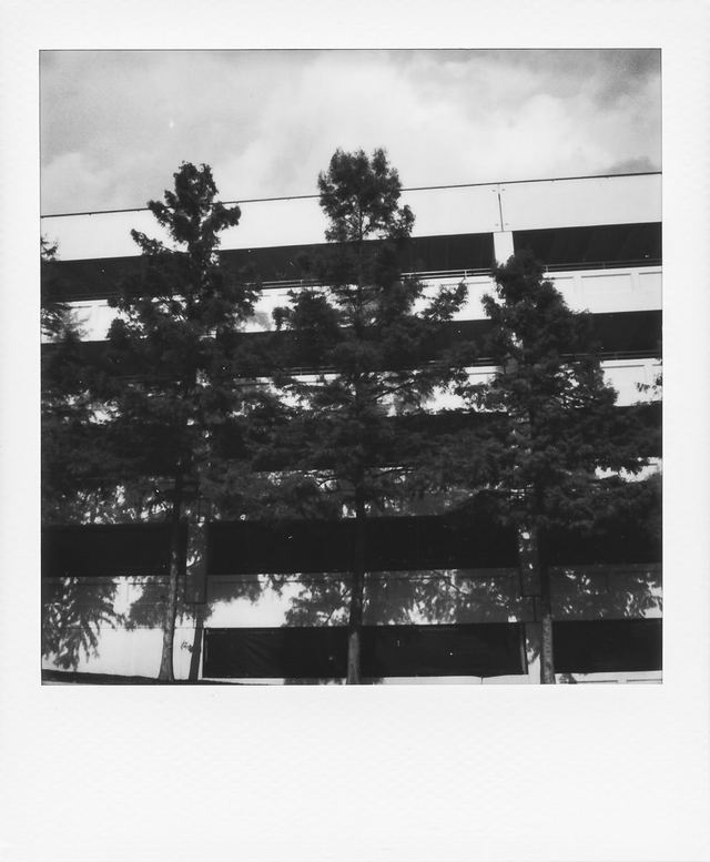 Polaroid photograph, July 30, 2024