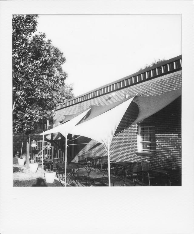 Polaroid photograph, August 4, 2024
