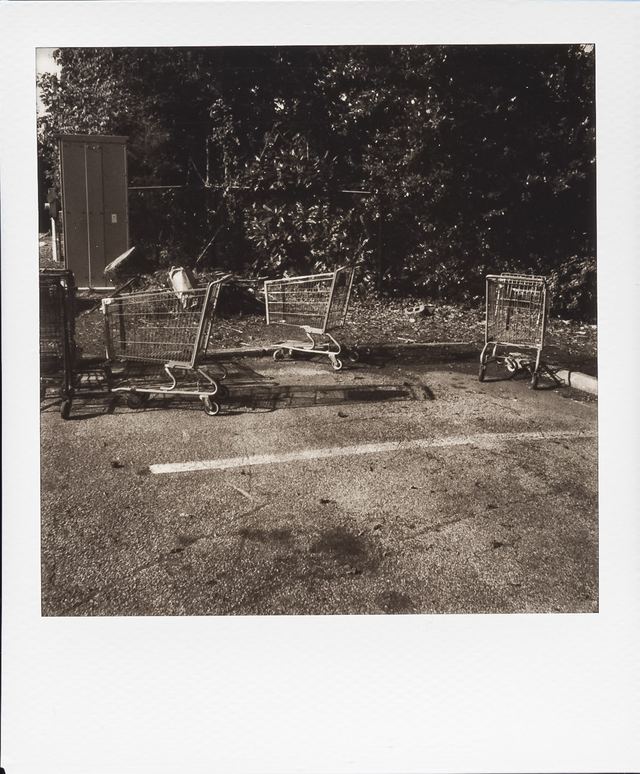 Polaroid photograph, August 5, 2024