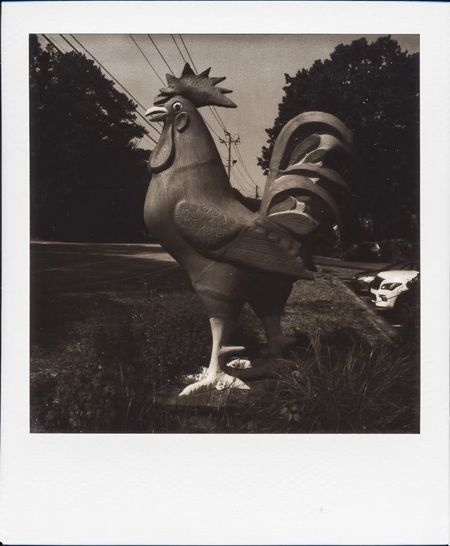 Polaroid photograph, August 7, 2024