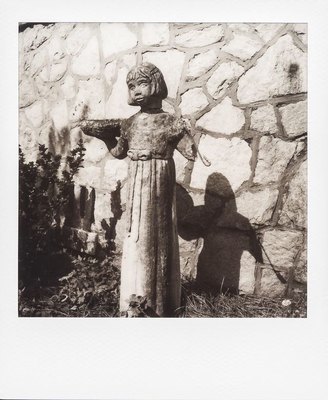 Polaroid photograph, August 9, 2024